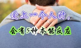 无法隐藏本能在线观看,无法隐藏的在线观看之旅